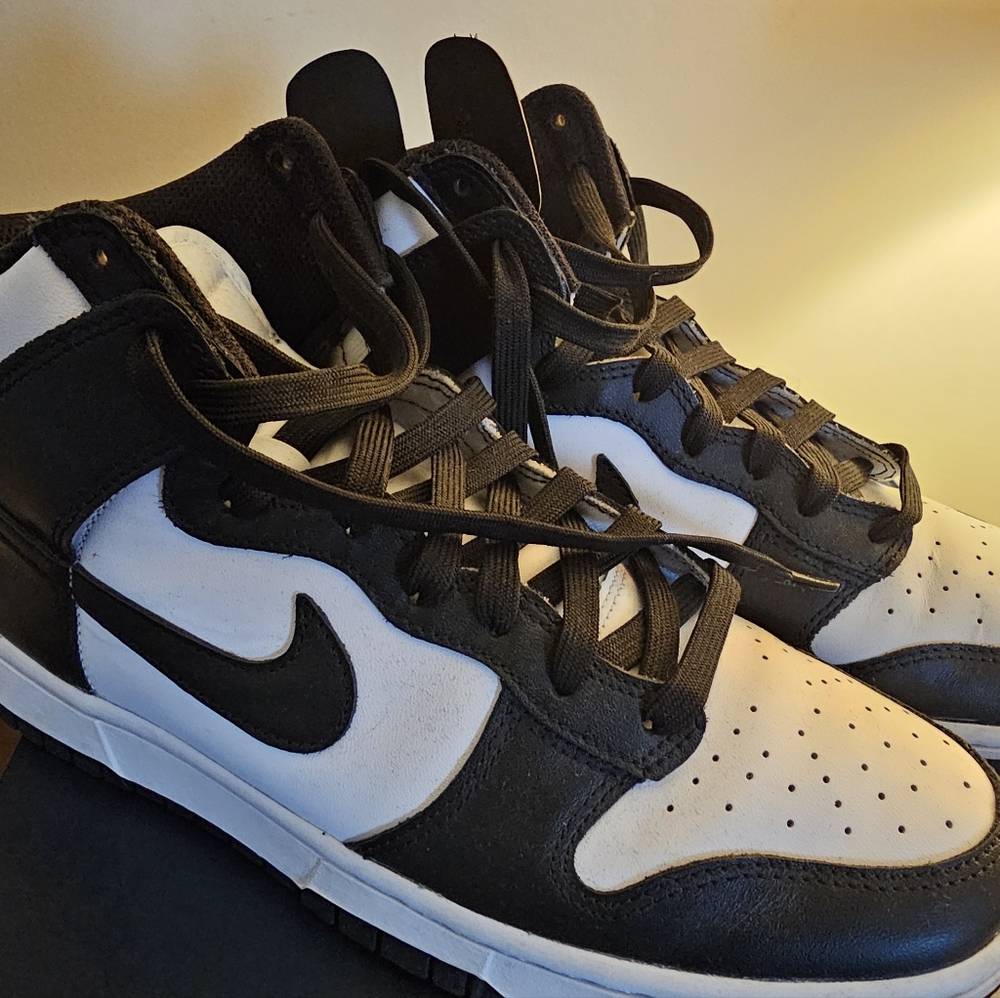 Nike Dunk Hi Retro